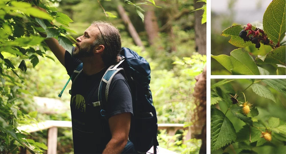 Foraging in Sooke, BC with Yervana