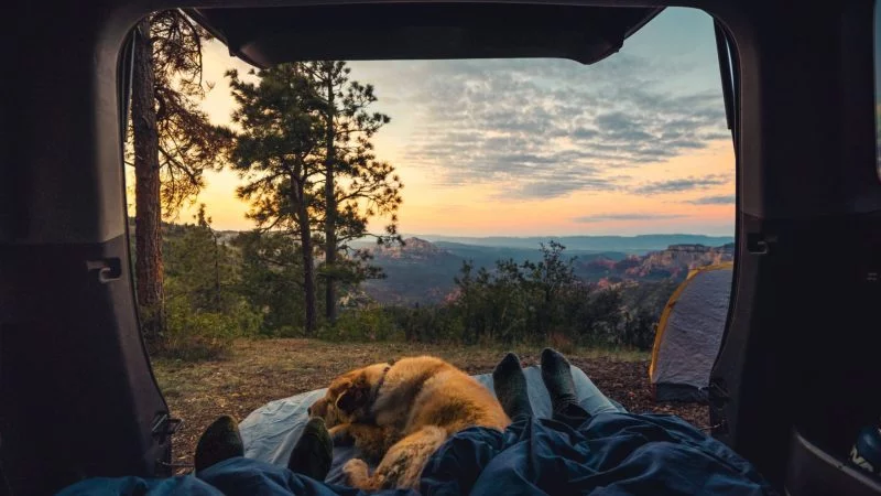 People And Dog Practicing Responsible Travel While Camping