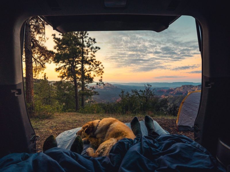 People And Dog Practicing Responsible Travel While Camping
