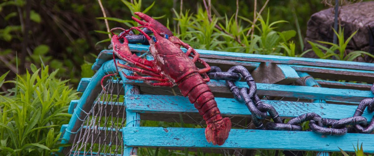 red lobster on blue cage in Nova Scotia