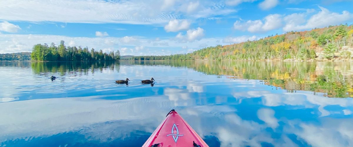 A red kayak on a lake in Algonquin Park, an Outdoor Adventure Near Toronto