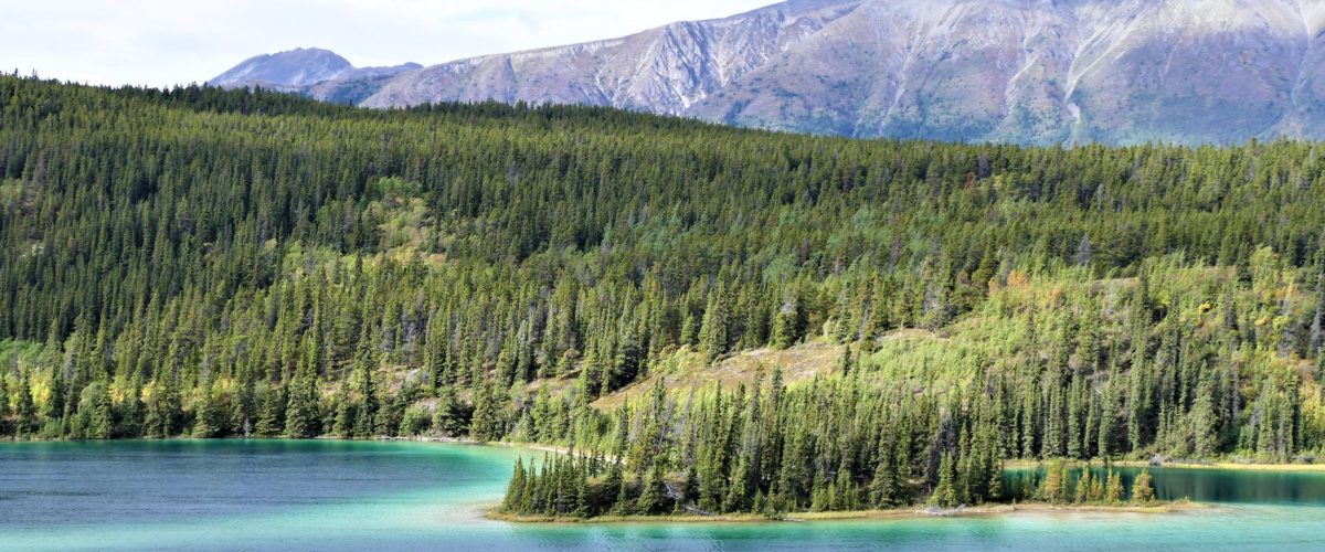 Emerald Lake in Summer, Yukon Territory. Mountain, lake, and trees