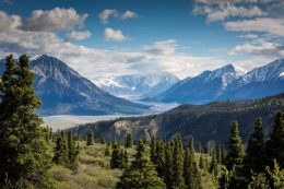 Mountains, Trees And A River In Summer. Kluane National Park Of Canada, Yukon Territory