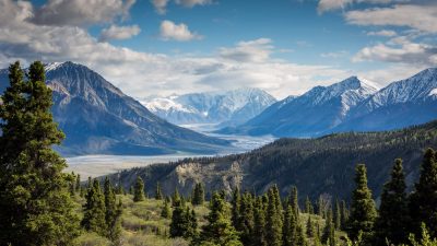 Mountains, Trees And A River In Summer. Kluane National Park Of Canada, Yukon Territory
