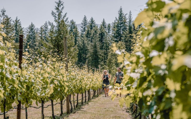 women and man walking through vineyard while drinking wine in the West Kootenays