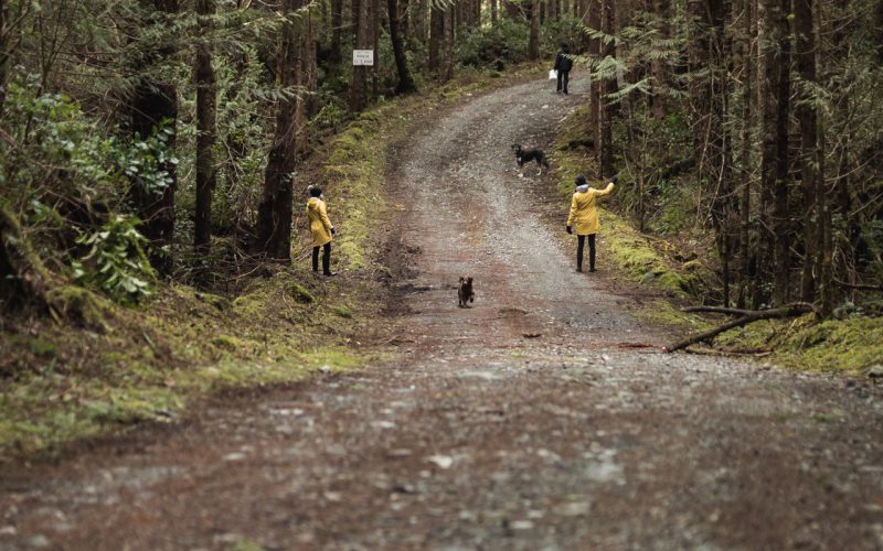 three people and two dogs foraging for local food on Vancouver Island