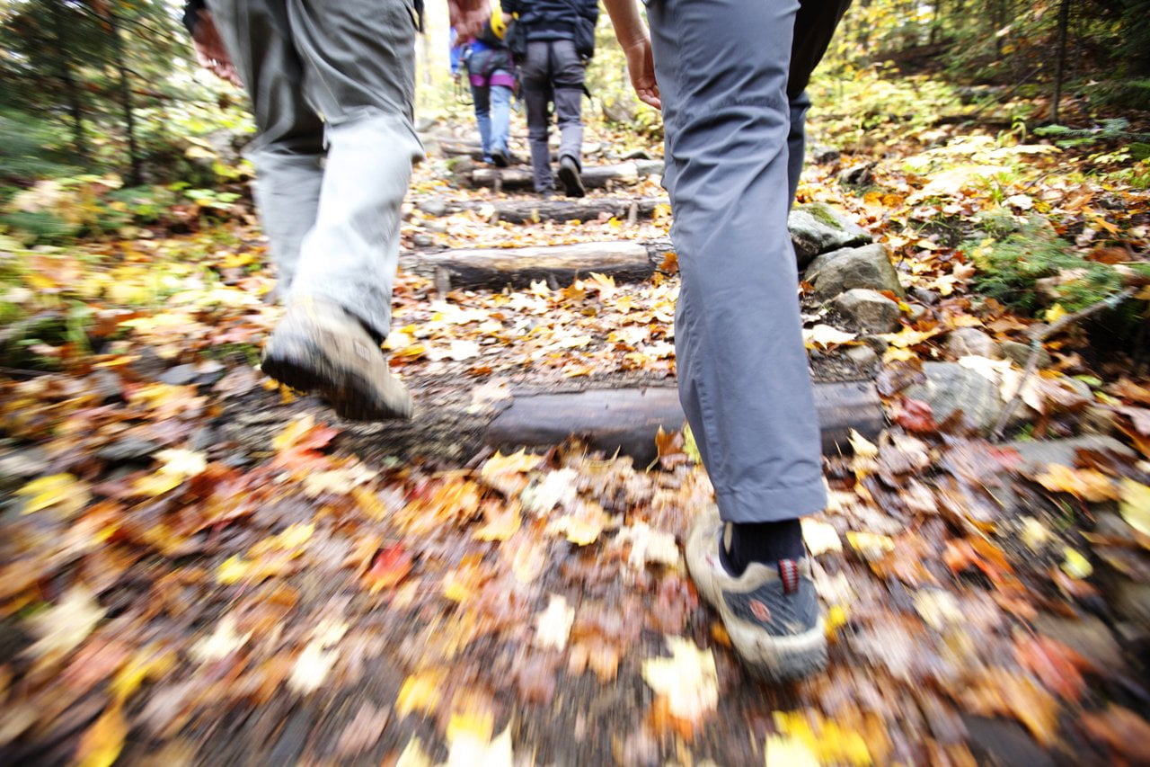 Hikers in Ontario hiking through the fall leaves
