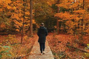 The Best Fall Hikes Near Toronto, Ontario