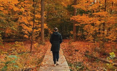The Best Fall Hikes Near Toronto, Ontario